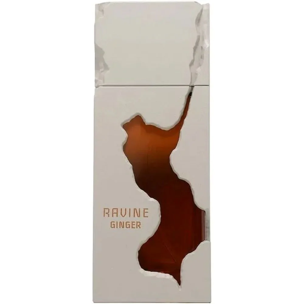 Ravine Ginger 100ml EDP By French Avenue - Image 2